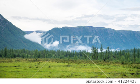 Meadow, fir forest and mountains in cloudy weather, wide panorama. Russia, Siberia, Eastern Sayan 41224425