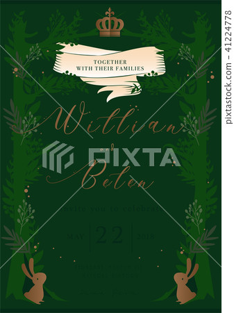 green story cover book wedding invitation card 41224778