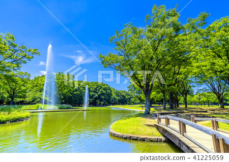 Yoyogi Park in Tokyo Spring 41225059