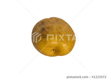 Potato isolated on white background Potato isolated on white background 41225072