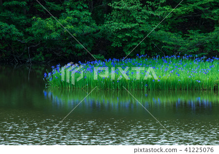 Takashima-shi 41225076