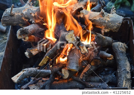 fire wood nature fire wood nature 41225652