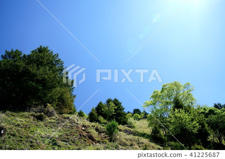 爬上Karamatsu山脊(圖片拍攝於:Bamahisattva,Karamatsu Ridge) 爬上Karamatsu山脊(圖片拍攝於:Bamahisattva,Karamatsu Ridge) 41225687