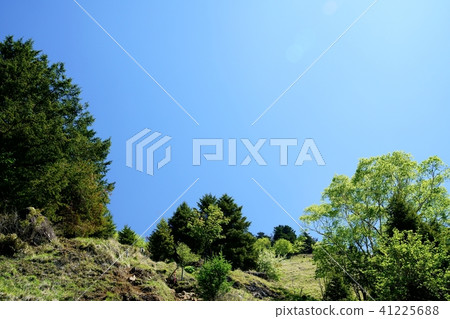 Climb the Karamatsu ridge (Picture taken at: Bodhisattva, Karamatsu Ridge) Climb the Karamatsu ridge (Picture taken at: Bodhisattva, Karamatsu Ridge) 41225688
