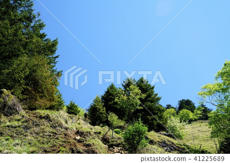 Climb the Karamatsu ridge (Picture taken at: Bodhisattva, Karamatsu Ridge) Climb the Karamatsu ridge (Picture taken at: Bodhisattva, Karamatsu Ridge) 41225689