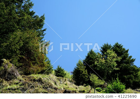 Climb the Karamatsu ridge (Picture taken at: Bodhisattva, Karamatsu Ridge) Climb the Karamatsu ridge (Picture taken at: Bodhisattva, Karamatsu Ridge) 41225690