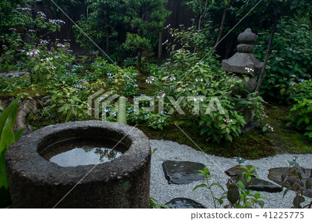 京都市東山區Kenninji寺廟·靈性醫院拍下甜蜜的花園 京都市東山區Kenninji寺廟·靈性醫院拍下甜蜜的花園 41225775