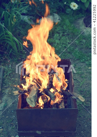 fire wood nature 41225992