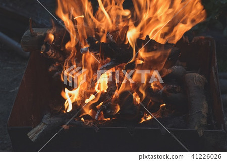fire wood nature fire wood nature 41226026