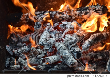 fire wood nature 41226094