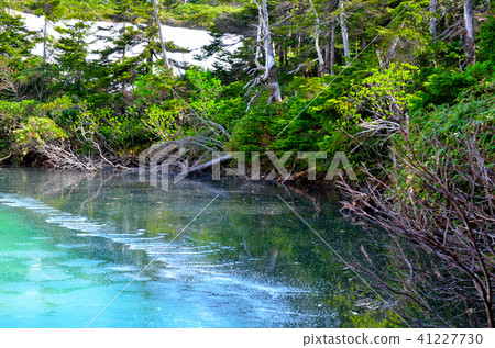 Landscape around Hachimantai peak 41227730