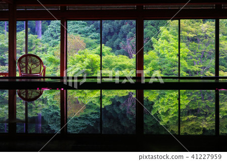 Environmental Art Forest 41227959