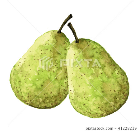 La France Pear 41228219