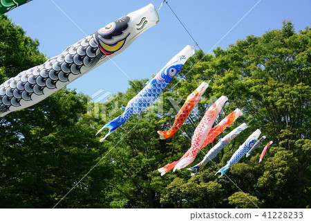 Carp streamers that got together Carp streamers that got together 41228233