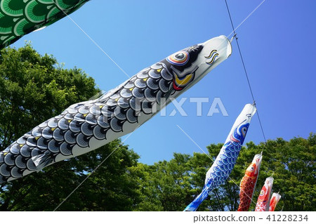Carp streamers that got together Carp streamers that got together 41228234