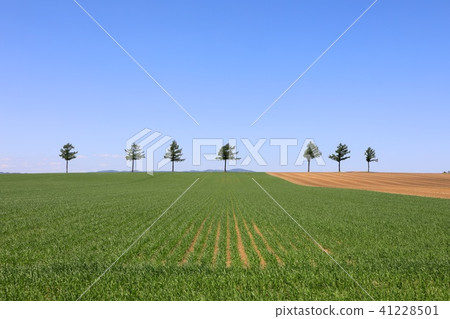 Tamanbetsu·童話山 Tamanbetsu·童話山 41228501