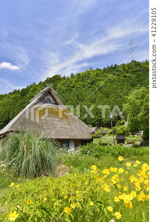 [京都府南丹市]美山茅草村 41229105