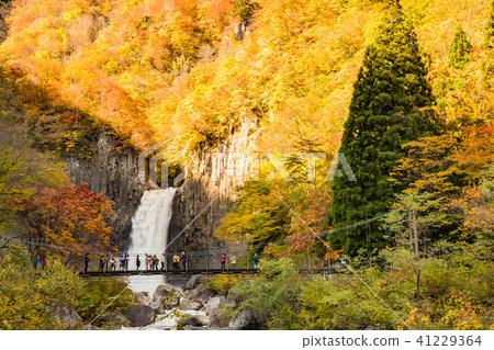 Sarugata Falls and autumn leaves 41229364