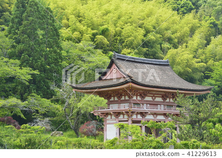 [京都府南丹市]京新寺仁王門 41229613
