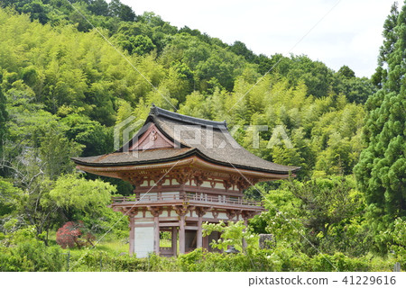 [京都府南丹市]京新寺仁王門 41229616