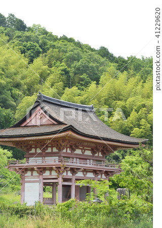 [京都府南丹市]京新寺仁王門 41229620