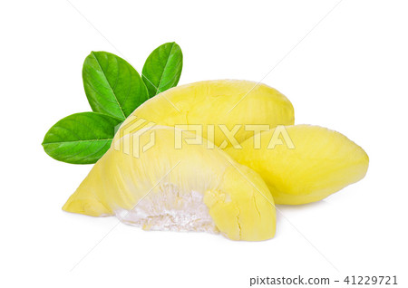 durian tropical fruit with green leaves isolated  41229721
