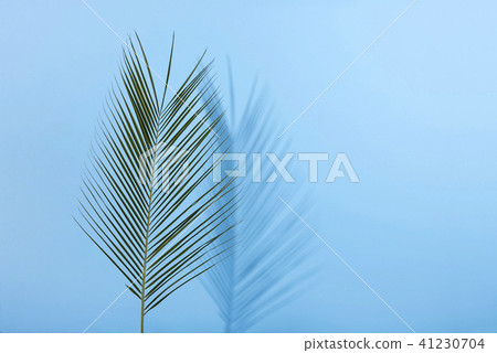 Palm leave on pastel blue background. Flat lay. Palm leave on pastel blue background. Flat lay. 41230704