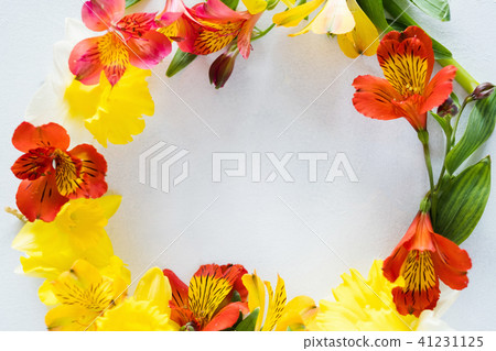 flower wreath white background floral spring flower wreath white background floral spring 41231125