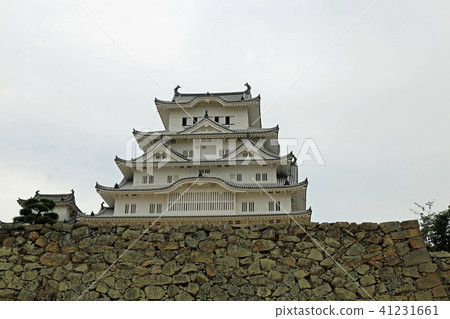 Himeji castle in late summer 41231661