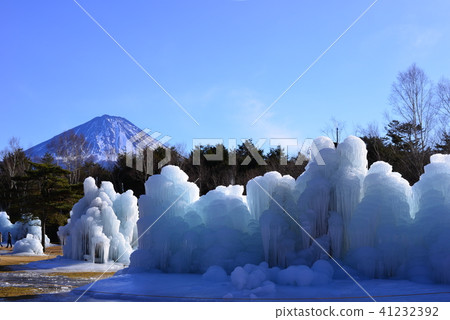 富士野鳥森林公園 富士野鳥森林公園 41232392