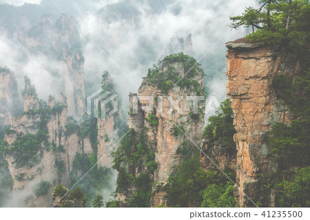 Zhangjiajie Forest Park. Gigantic pillar mountains Zhangjiajie Forest Park. Gigantic pillar mountains 41235500