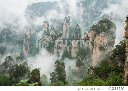 Zhangjiajie Forest Park. Gigantic pillar mountains 41235501