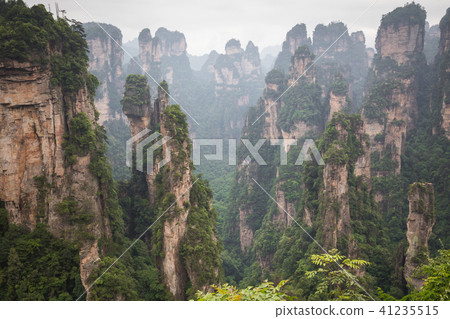 Zhangjiajie Forest Park. Gigantic pillar mountains Zhangjiajie Forest Park. Gigantic pillar mountains 41235515