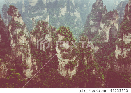 Zhangjiajie Forest Park. Gigantic pillar mountains Zhangjiajie Forest Park. Gigantic pillar mountains 41235530