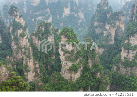 Zhangjiajie Forest Park. Gigantic pillar mountains Zhangjiajie Forest Park. Gigantic pillar mountains 41235531