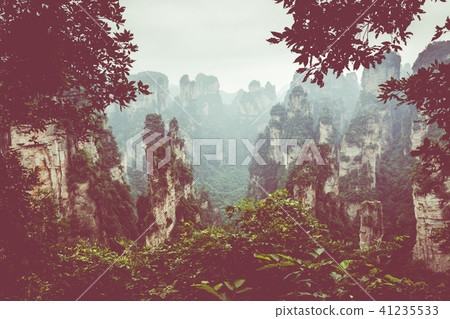 Zhangjiajie Forest Park. Gigantic pillar mountains Zhangjiajie Forest Park. Gigantic pillar mountains 41235533