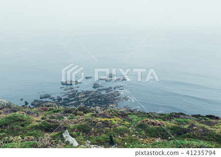 Summer Atlantic rocky coast view  41235794