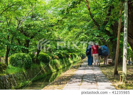 京都哲學之路 京都哲學之路 41235985
