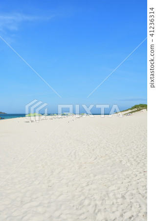  宮古島/夏季景觀 41236314
