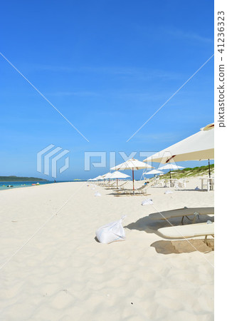 Miyakojima / summer landscape  Miyakojima / summer landscape 41236323