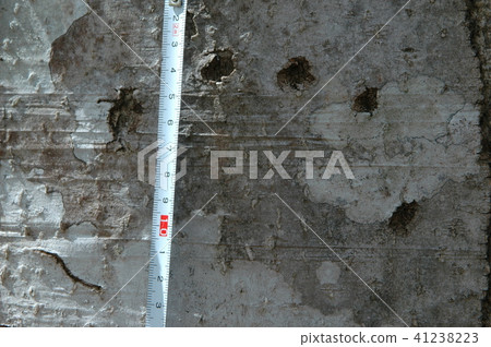Nail mark of a bear Nail mark of a bear 41238223