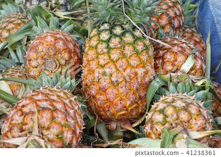 pineapple on street food pineapple on street food 41238361