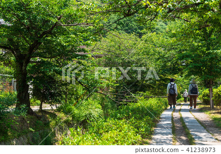 Kyoto philosophy road 41238973
