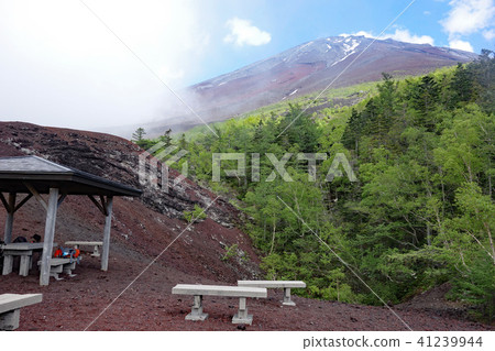 富士第五連續生態的花園寄生火山 41239944