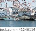 一艘漁船和漂浮在江之島運河上的櫻花樹 41240116