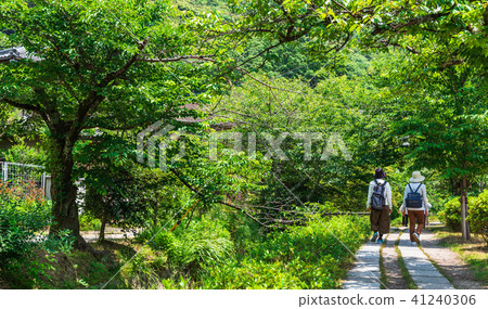 Kyoto philosophy road Kyoto philosophy road 41240306