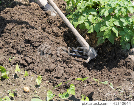 用Bikan Hoe犁土 41240644