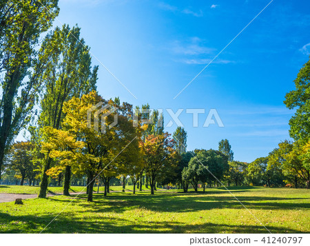 Hanafu Memorial Park's Square 41240797
