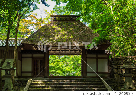 Kyoto Bunkasan Yamaemon 41240950