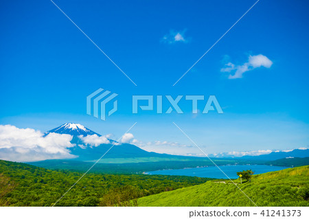 富士山和山中湖子 富士山和山中湖子 41241373
